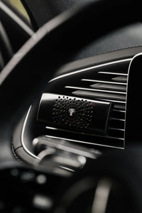 Baobab Collection Car Diffusers