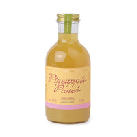 Pineapple Punch Mixer