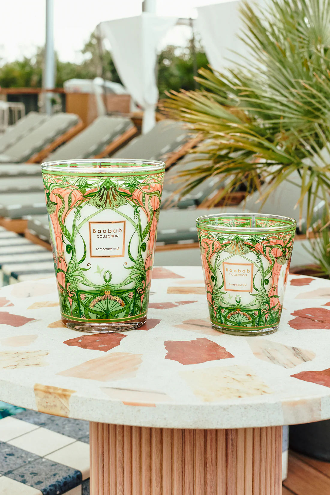 Baobab Collection Tomorrowland