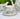 Blue and White Rose Toile Scallop Teacup and Saucer