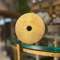 The Starflower Shell