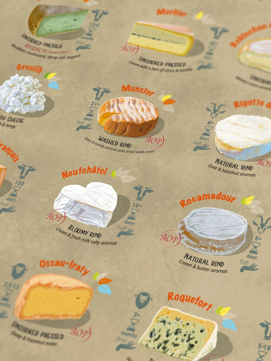 France Cheese Puzzle | 1000 Pieces