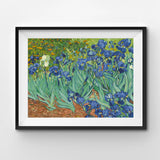Irises, By Vincent Van Gogh - Paint By Numbers