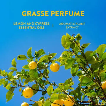 Panier des Sens Eau de Toilette Roll-On | Made in France | Travel Perfume