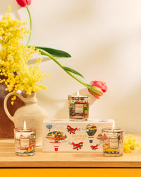 Baobab Collection Trio Travel Candles – Provence, Monaco & Côte d’Azur