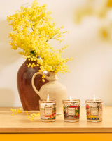 Baobab Collection Trio Travel Candles – Provence, Monaco & Côte d’Azur
