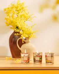 Baobab Collection Trio Travel Candles – Provence, Monaco & Côte d’Azur