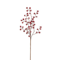 Glacé Rouge Berry Stem – 20"