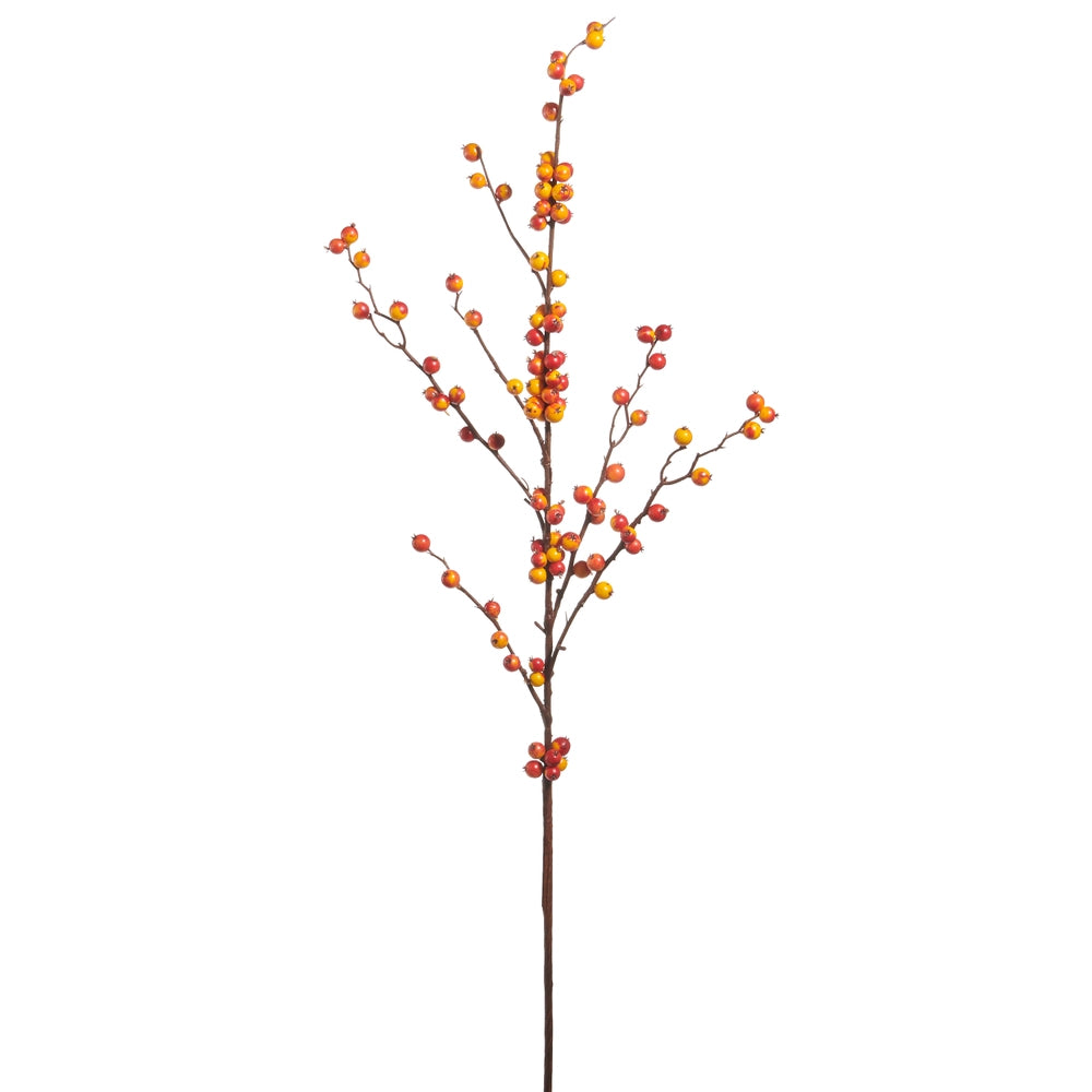 Bittersweet Harvest Branch – 42.5"