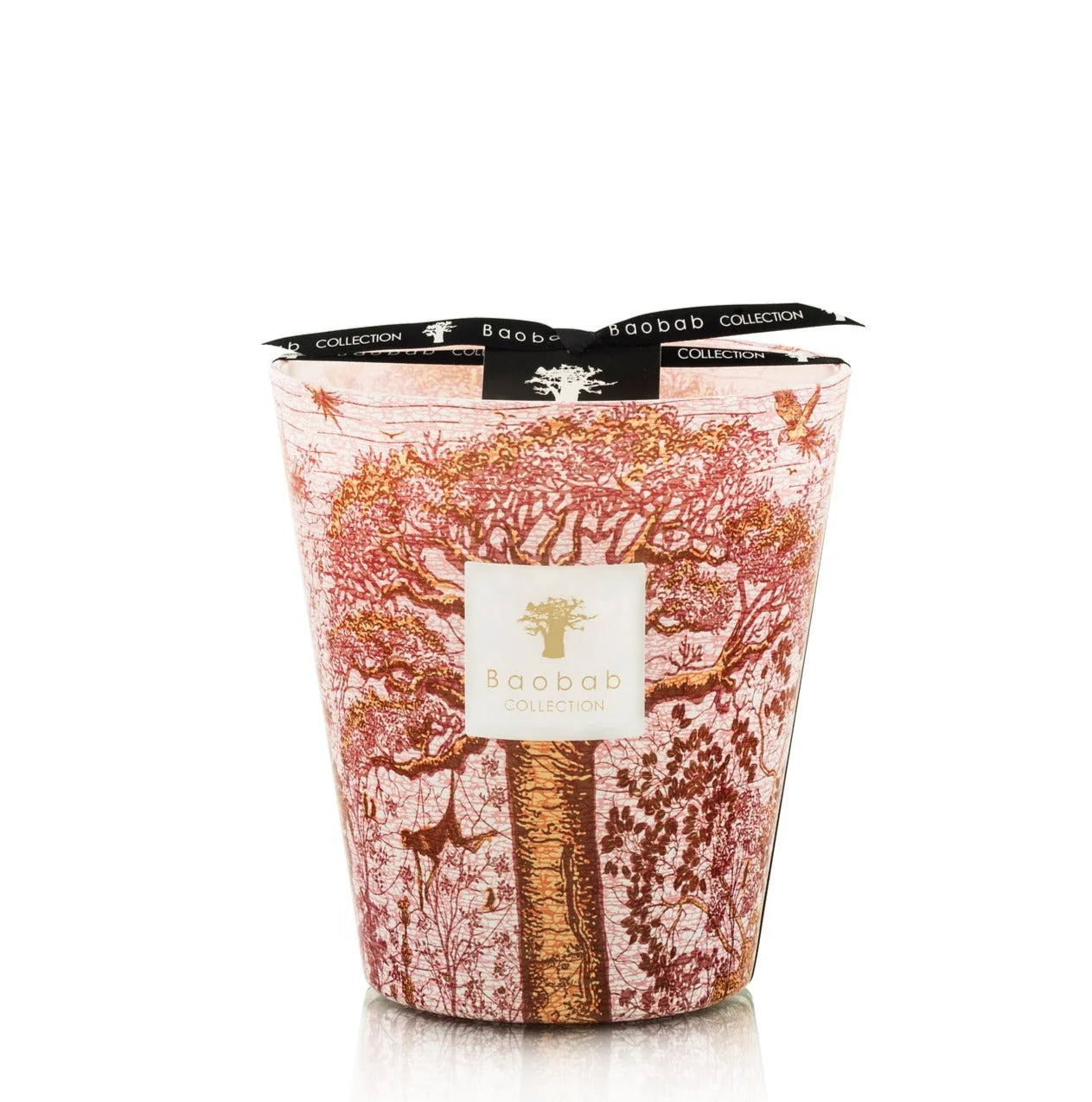 Baobab Collection | Sacred Trees Woroba
