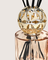 Maison Berger Pomelis Beige Reed Diffuser Gift Set – Vanilla Magnificence