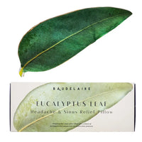 Eucalyptus Headache & Sinus Relief Pillow