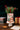 Santa Is Coming to Town Christmas Book Vase