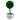 Real preserved boxwood ball topiary tree in blue and white ceramic chinoiserie planter available in medium and large sizes