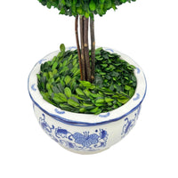 Preserved Boxwood Ball Topiary Tree in Blue & White Ceramic Pot